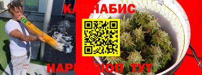 ALPHA PVP Камышлов