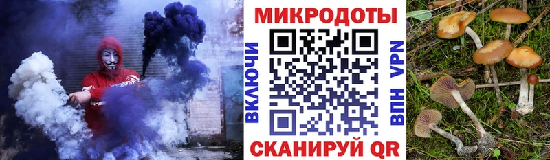 Псилоцибиновые грибы Cubensis  площадка как зайти  Корсаков 
