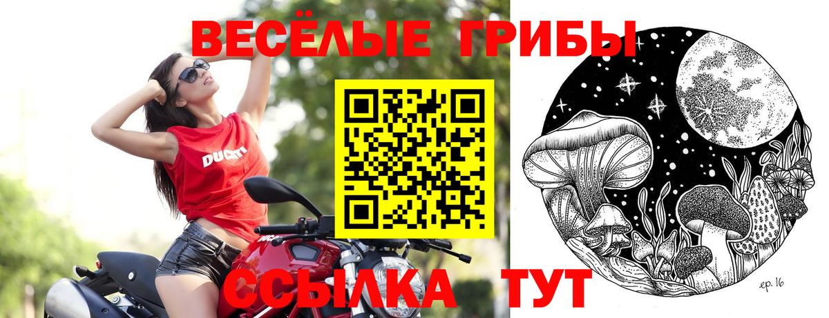 Корсаков  Галлюциногенные грибы прущие грибы  Вход с VPN 